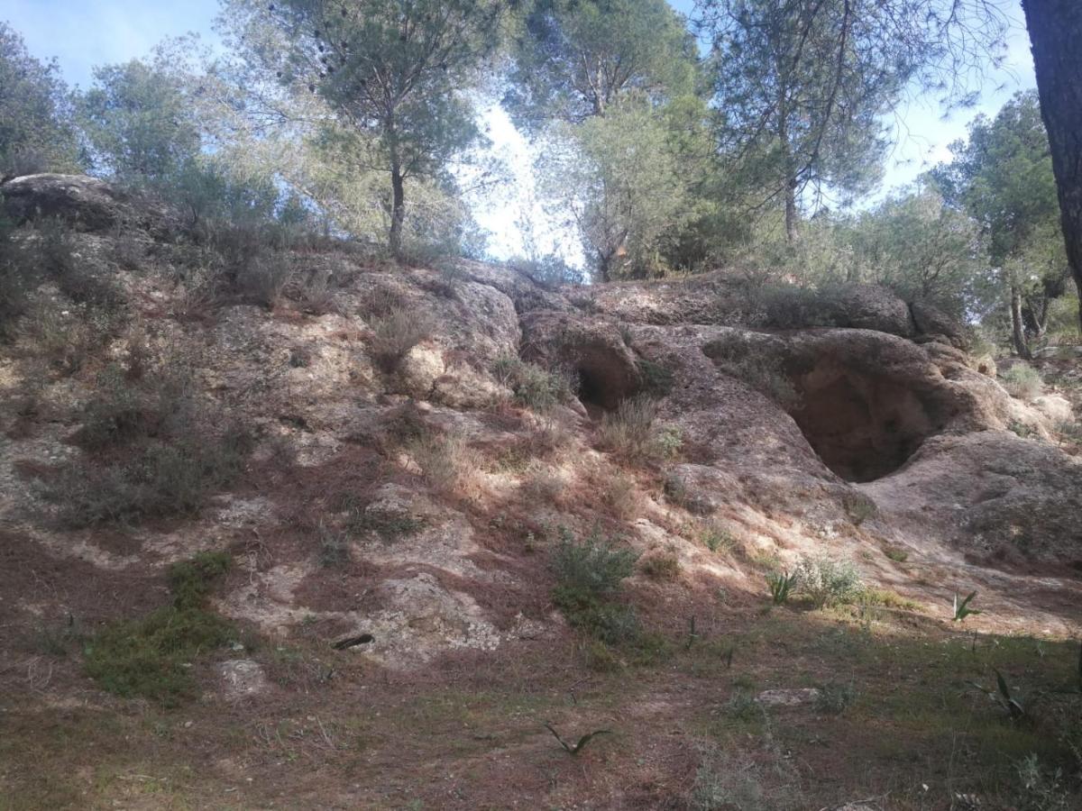 Alojamiento Rural El Paraiso Del Chorro Kültér fotó